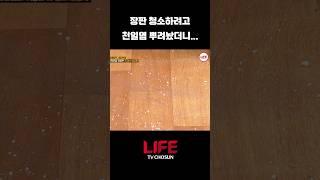 [1분 꿀팁] 방바닥 장판 청소 찌든 때 제거하는 방법 #청소꿀팁 #shorts