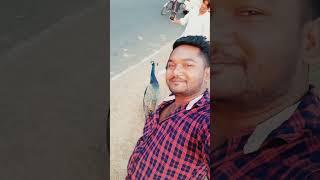 Kaccha Badam //  please subscriber //Santosh