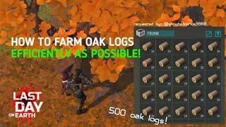 How to Farm in Oak Zones Efficiently! | Last Day on Earth: Survival