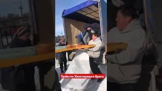 Паломничество. Животворящий Крест (копия) прибыл в храм Рождества Богородицы