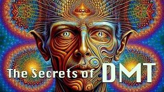 DMT: The Most Intriguing Substance in the Universe?