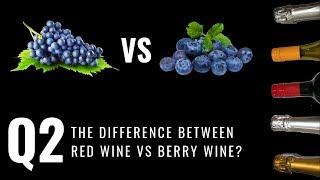 Q2: What The Difference Between Red Wine vs Berry Wine | Angel Estate Wine Production