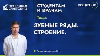 Зубные ряды. Строение.