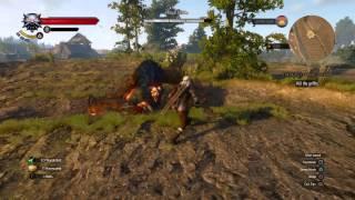 Witcher 3 Pinpoint Crossbow Shot