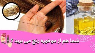 درمان موخوره با روغن گیاهی و روش های بدون هزینه زیاد #موخوره #روغن_گیاهی #مو_های_ضعیف