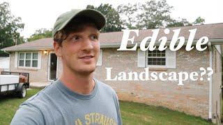 My yard before TRANSFORMATION into EDIBLE LANDSCAPE ABUNDANCE | Welcome to the journey Ep 1