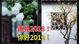 再見2018！你好2019！，[心靈驛站]