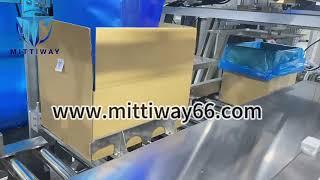 Bag In Box Inserter Manufacture Poly Bag Inserting Machine Carton Erector Machine