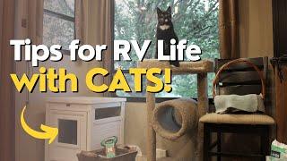 Full Time RV Living with Cats (Where to Hide a Litter Box in an RV and More Tips!)