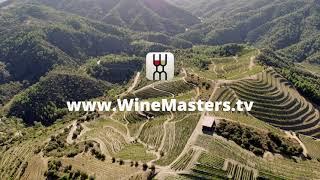 WineMasters.TV - Premium Wine Streaming Platform