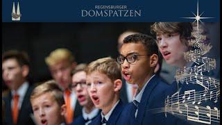 Advents- und Weihnachtskonzert der Regensburger Domspatzen 2021