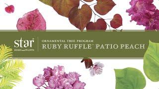 Ruby Ruffle™ Patio Peach