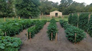 My South Jersey Garden Tour August 3, 2024 Gloucester County, New Jersey