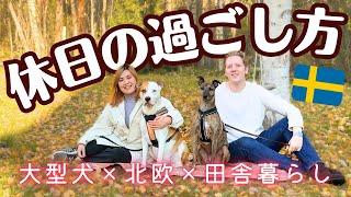 【犬との日常】お休みに密着北欧家族の1日Vlog