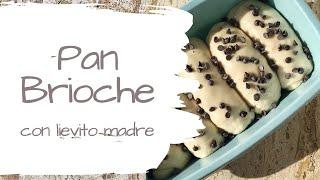 Pan brioche con lievito madre | Cosfacose