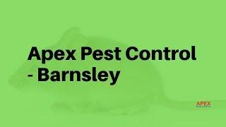 Apex Pest Control Barnsley | Expert Pest Control in Barnsley