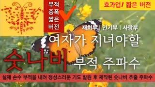 [효과두배강력]여자가 지녀야할숫나비 부적 주파수 |  좋은 남자운 상승 | 강력재회 | 인기몰이 | 매력폭발 | 부적을 지니는 것보다 흡수가 빠른 에너지 | 소원성취