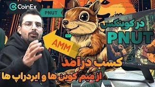 ارز PNUT در کوینکس | کسب درآمد از میم کوین ها