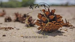 Scars to your beautiful - Emily Louise (HFFMN Remix). mp4