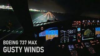 It's all about Smooth Control Inputs in Gusty Conditions - Boeing 737 MAX Landing