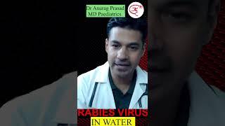 How Long Rabies Virus Survive in Water by Dr Anurag Prasad #rabies #shorts #kidocare