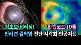 [왕초보] 반려견의 결막염을 진단하고 시각화하는 인공지능 GradCAM