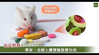 聽說吃苦瓜胜肽可治好糖尿病？專家：僅在動物實驗上證實有效｜Heho Topics