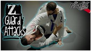 Z Guard Attacks For White Belts