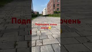 Тренируем дистанцию, АМСтафф Стафи