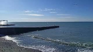 24.12.2024 / Погода в Сочи сегодня / Жара / Море / Пляж / #travel #automobile #beach .