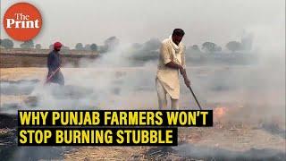 Why Punjab farmers won't stop burning stubble, despite the black fields & air pollution