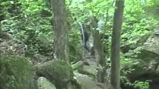 Nelson - Kennedy Ledges, Ohio