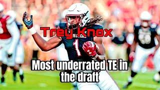 Trey Knox Higlights