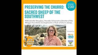 Preserving the Churro: Sacred Sheep of the Southwest