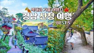 경남 여행 브이로그, 산청 여행 코스 가볼만한곳 BEST5 동의보감촌, 수선사, 정취암, 남사예담촌