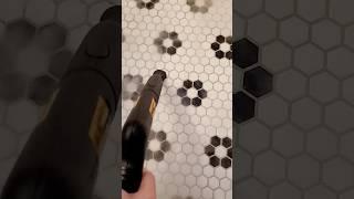 Steam Cleaning Bathroom: Wagner 915e Steamer