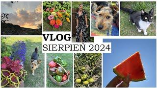 VLOG || SIERPIEŃ 2024