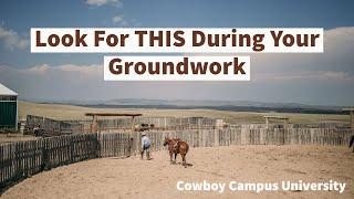 What Should You Be Looking For During Groundwork