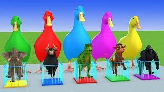 5 Giant Duck & Wild Animals Cage Game Cow Gorilla Rhinoceros Elephant Sheep Crossing Fountain