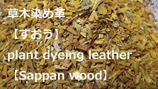 草木染め革【すおう】ができるまで＿ How to make plant dyeing leather【Sappan wood】