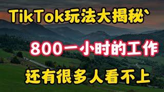 【副业分享】在TikTok玩法大揭秘，800一小时的工作