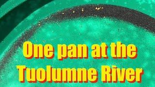 One pan at the Tuolumne River near Yosemite