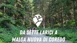 Da Sette Larici alla malga nuova di Coredo