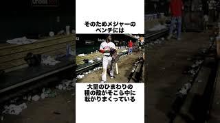 「ひまわりの種を食べて絶賛」大谷翔平についての雑学#野球#野球雑学#山本由伸