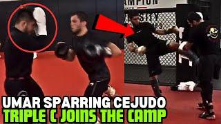 Henry Cejudo Joins Islam Makhachev And Umar Nurmagomedov For UFC 311 (FULL SPARRING WITH UMAR)