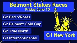 Friday June 10th Belmont Park Stakes Selections