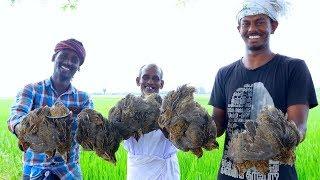 ANGRY BIRDS Curry | Quail Curry Cooking in Village | Tasty Village Food Recipe Cooking by Grandpa