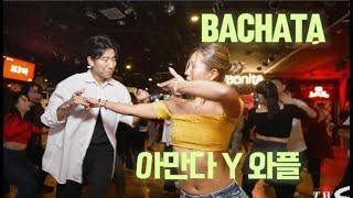 바차타 | 아만다 y 와플(술꼬라손) Bachata Social Dance ( Prince Royce : Morfina)- 보니따 2025.01.03