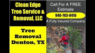 TREE REMOVAL NEXT TO HOUSE - DENTON, TX - Clean Edge Tree Service & Removal - 940-783-7023