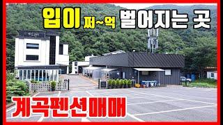  입이 쩌~억 멋진 계곡과 온수수영장을 갖춘 호텔급 펜션매매 숙박시설매매 풀빌라매매 #착한부동산